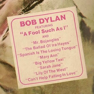 Dylan 1973